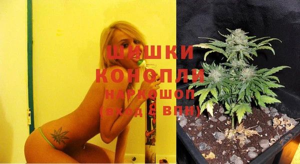 ГАЛЛЮЦИНОГЕННЫЕ ГРИБЫ Новодвинск