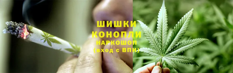 Конопля Ganja  Ивдель 